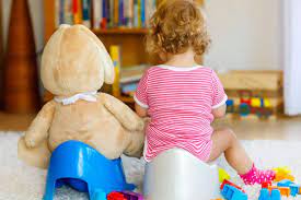 Signs of Your Toddler Readiness For Potty Training