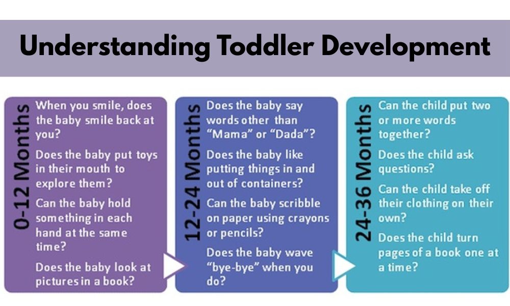 Toddler Development Guide