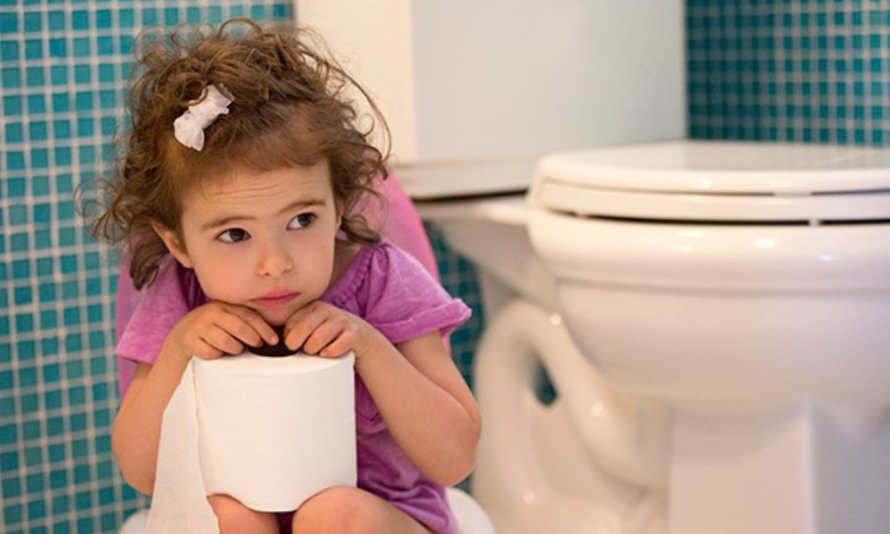 A toddler sitting on a potty holding a toilet paper roll, showing early signs of potty training step by step
readiness at home.