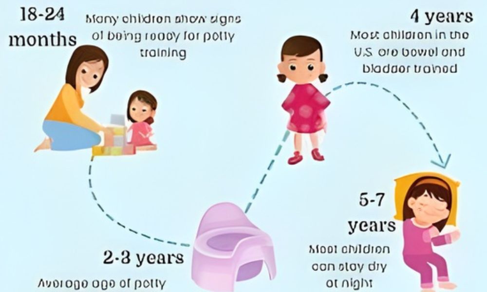 When to Start Potty Training